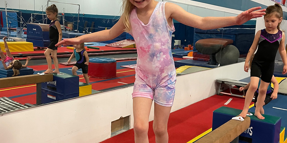 Rollie Pollie Open Gym | Plano