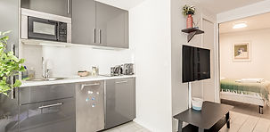 Studio DeLuxe Splendom Principe_edited.jpg