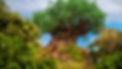 Tree of Life; Animal Kingdom.jpg