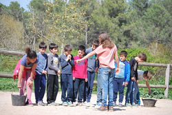 eeducacio_emocional_11