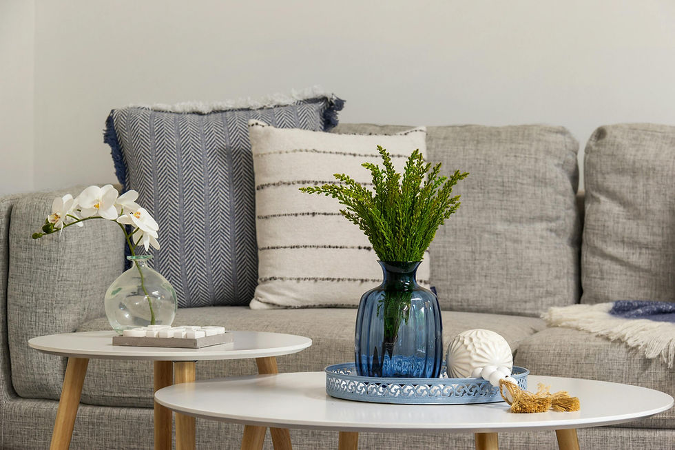 blue living room decor