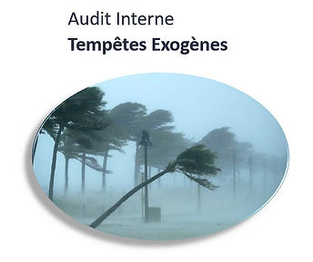 audit interne tempete exogène.jpg