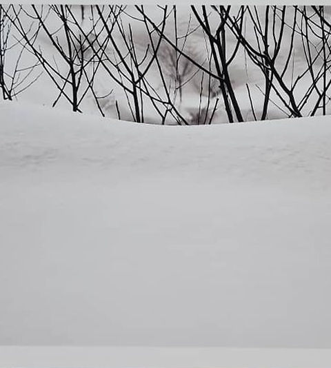Abbas Kiarostami, Iranian ( 1940 - 2016), Photograph, Snow Abbas Kiarostami, Iranian ( 1940 - 2016), Photograph, Snow
