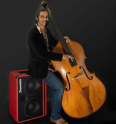 Trespass audio endorsement