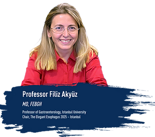 FİLİZ AKYUZ_TİTTE.png