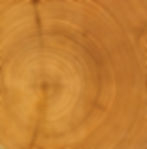 Wood Rings_edited.jpg