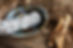 An image of white sage smudge sticks in an abalone shell with a burlap background. .jpg