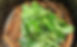 Close up of ayahuasca leaves and roots in a pot ready to be boiled_edited.jpg