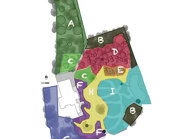 Commensalist-plan-of-action-1.png