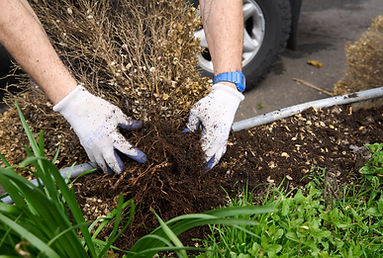 community resilience