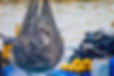Fishing Net_edited.jpg