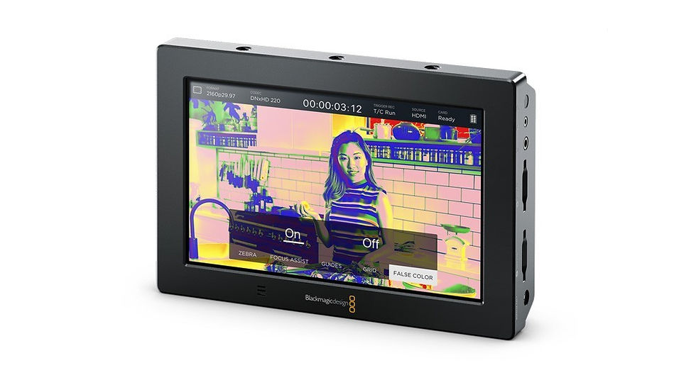 video-assist-4k