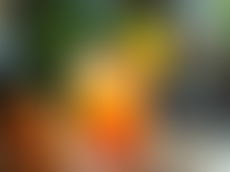 Healthy, Delicious Bartending: A Gulfcoastchef Experience