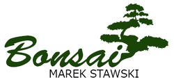 bonsai-stawski.jpg