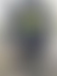 Visit from An Garda SÃochána