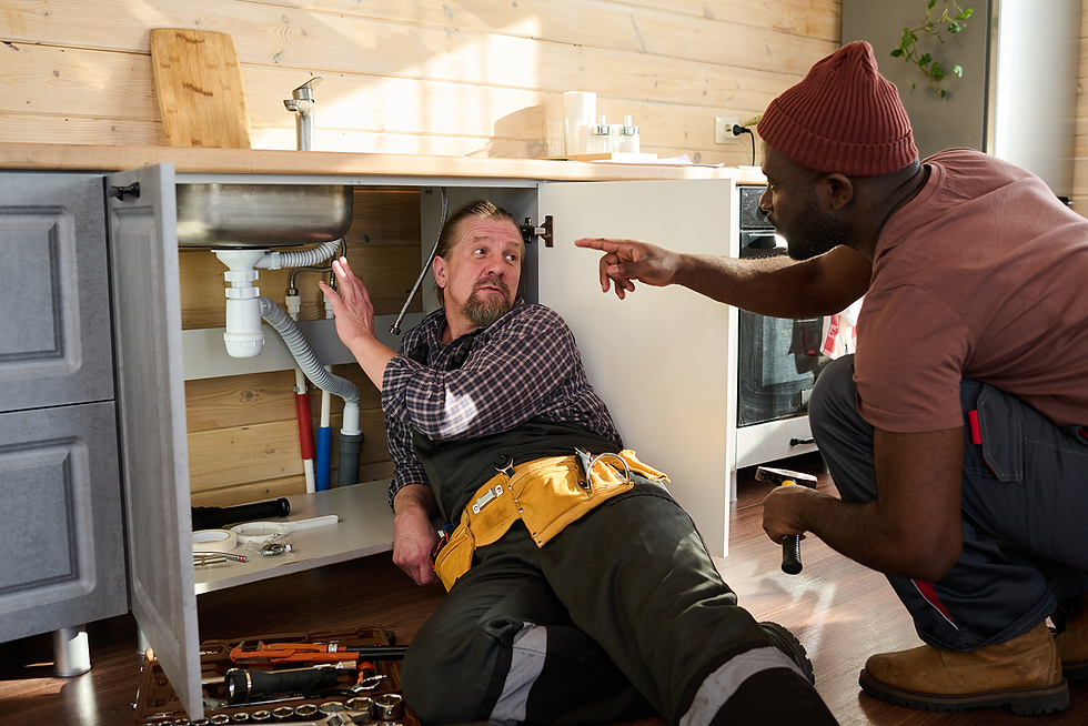 A mature plumber looking at a young colleague, pointing at the pipe under sink