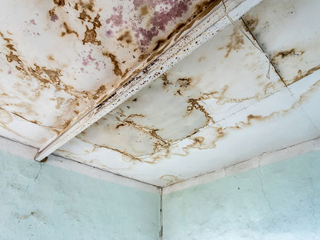 Strong mildew on the roof