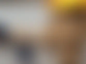 irrigation pipe backflow preventer