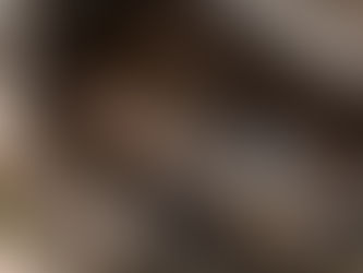 How to Prevent Sewer Line Backups in Residential Homes