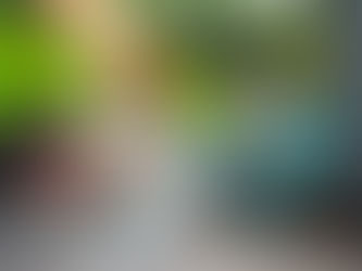 Person Using Garden Hose Reel to Water Plants in Backyard During Daylight