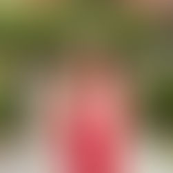 Santa Clara University Senior Session | Leslie