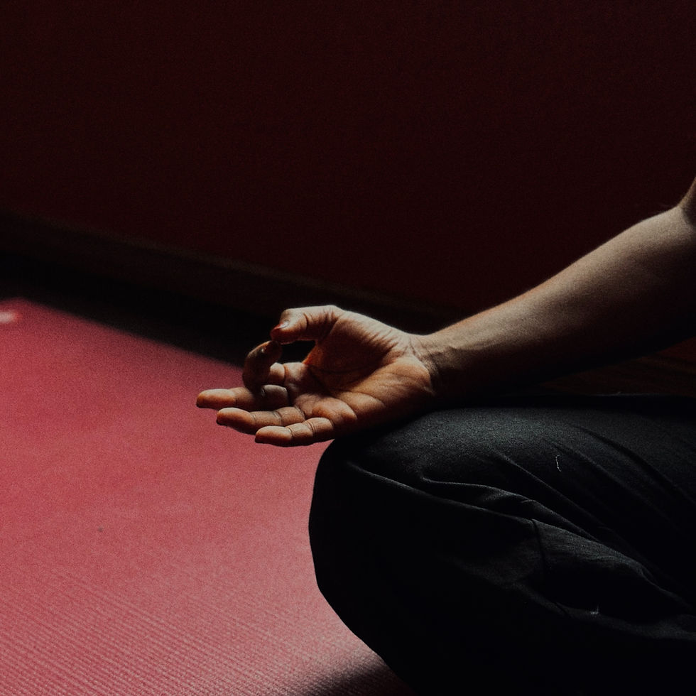 meditation & pranayama