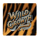 Magnetic Messaging: How Your Words Build Wealth