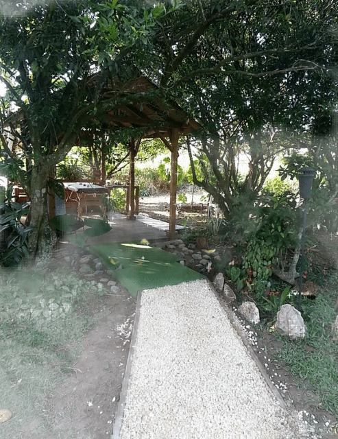20200422_224335.gif
