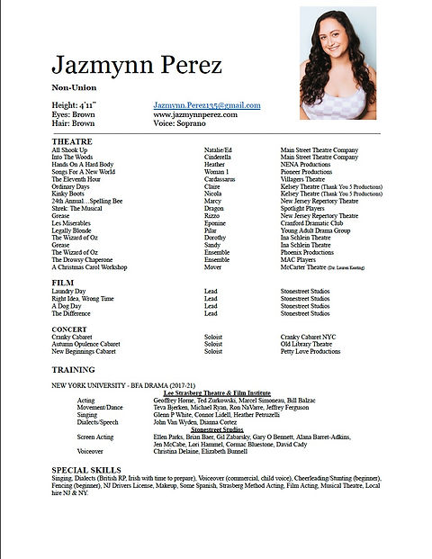 Resume Screen Shot_edited.jpg