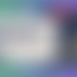 Secured Loan vs Unsecured Loan for EB-5