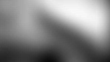 Primrose Nature: 10 Cool Facts About European Eels