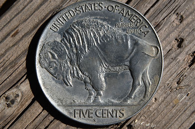 AMERICAN BUFFALO: WHO SAVED THEM?