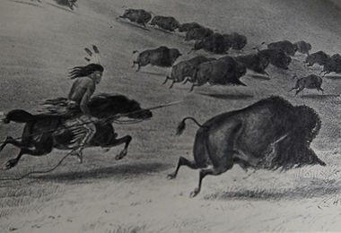 AMERICAN BUFFALO: WHO SAVED THEM?