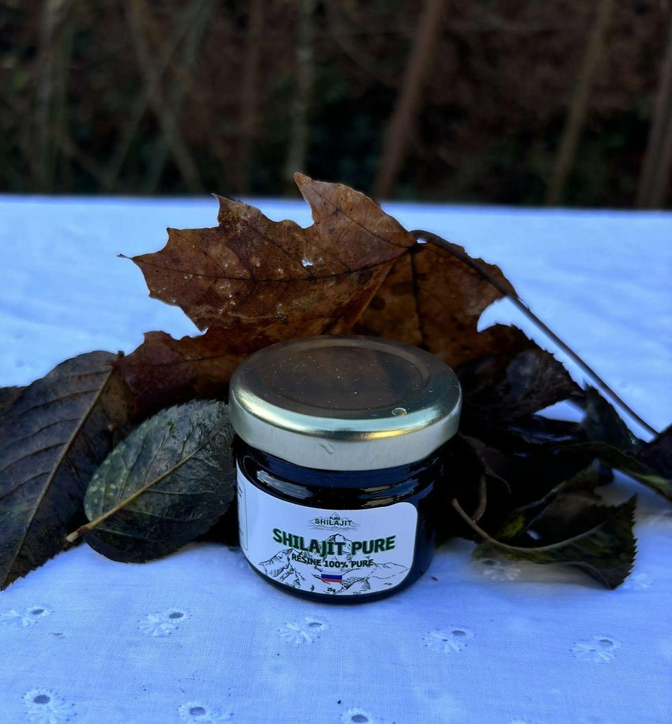 shilajit-resine-naturelle-pure-himalaya-energie-immunite_edited.jpg