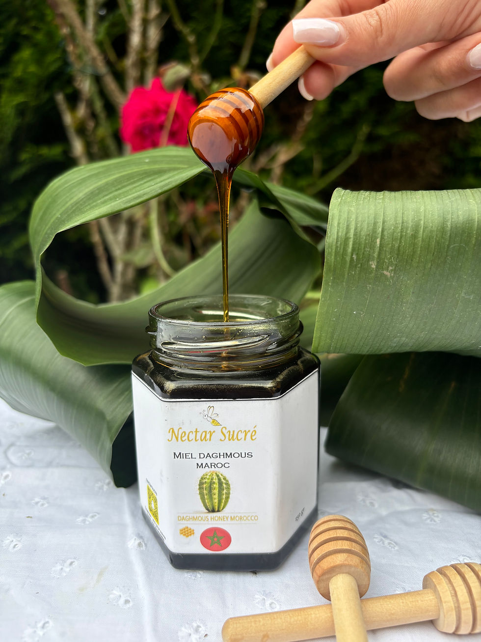 Miel de daghmous du Maroc Nectar Sucré coulant d’une cuillère en bois au-dessus du pot ouvert, décor tropical.