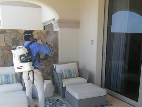 Imagen de WhatsApp 2025-07-26 a las 16.36_edited.jpg