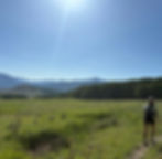 IMG_8381