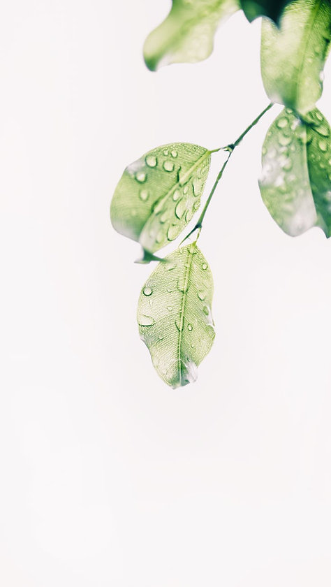 pexels-photo-1654255.jpeg