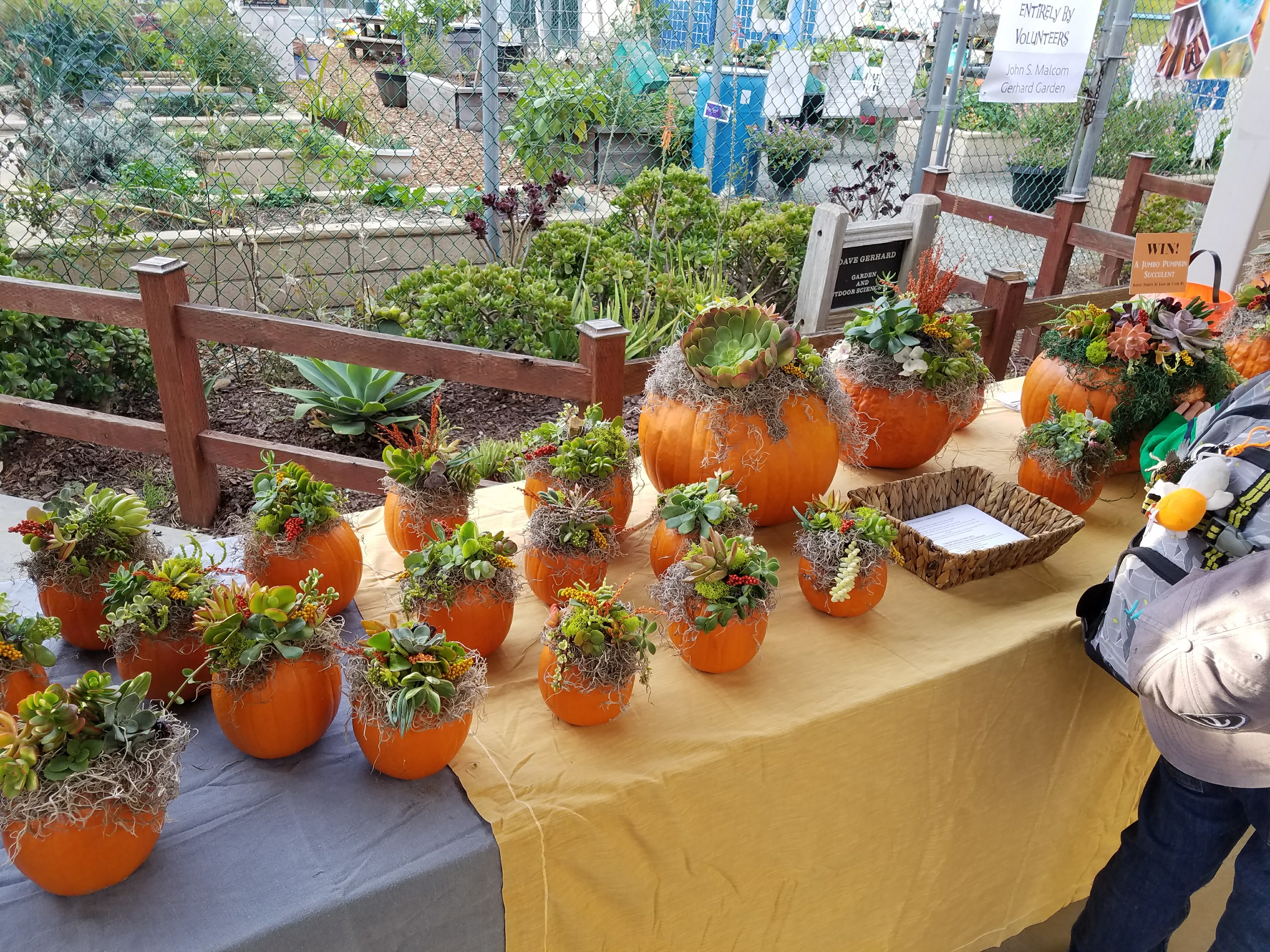 Fall Fundraiser