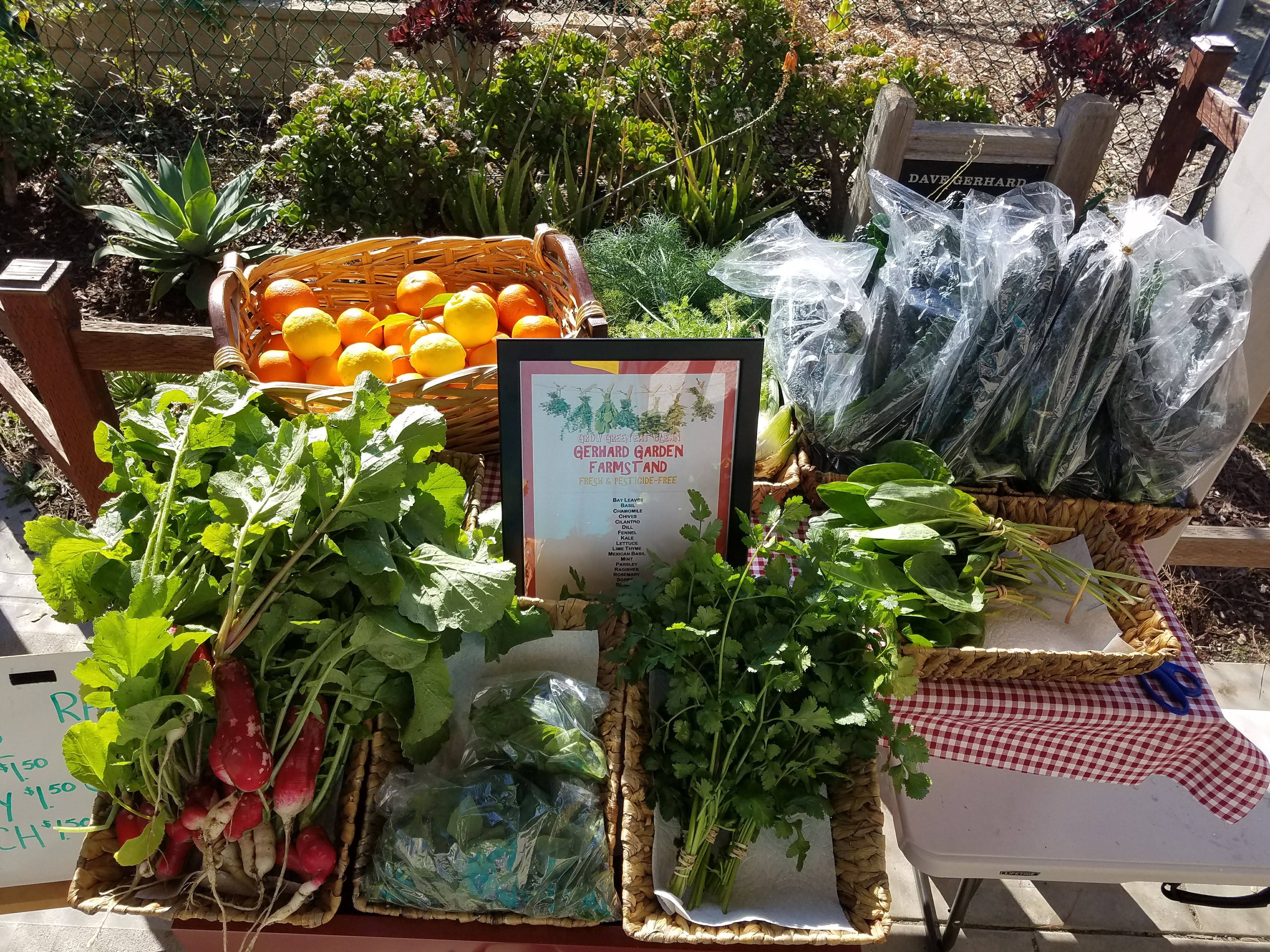 Pesticide Free Farm Stand