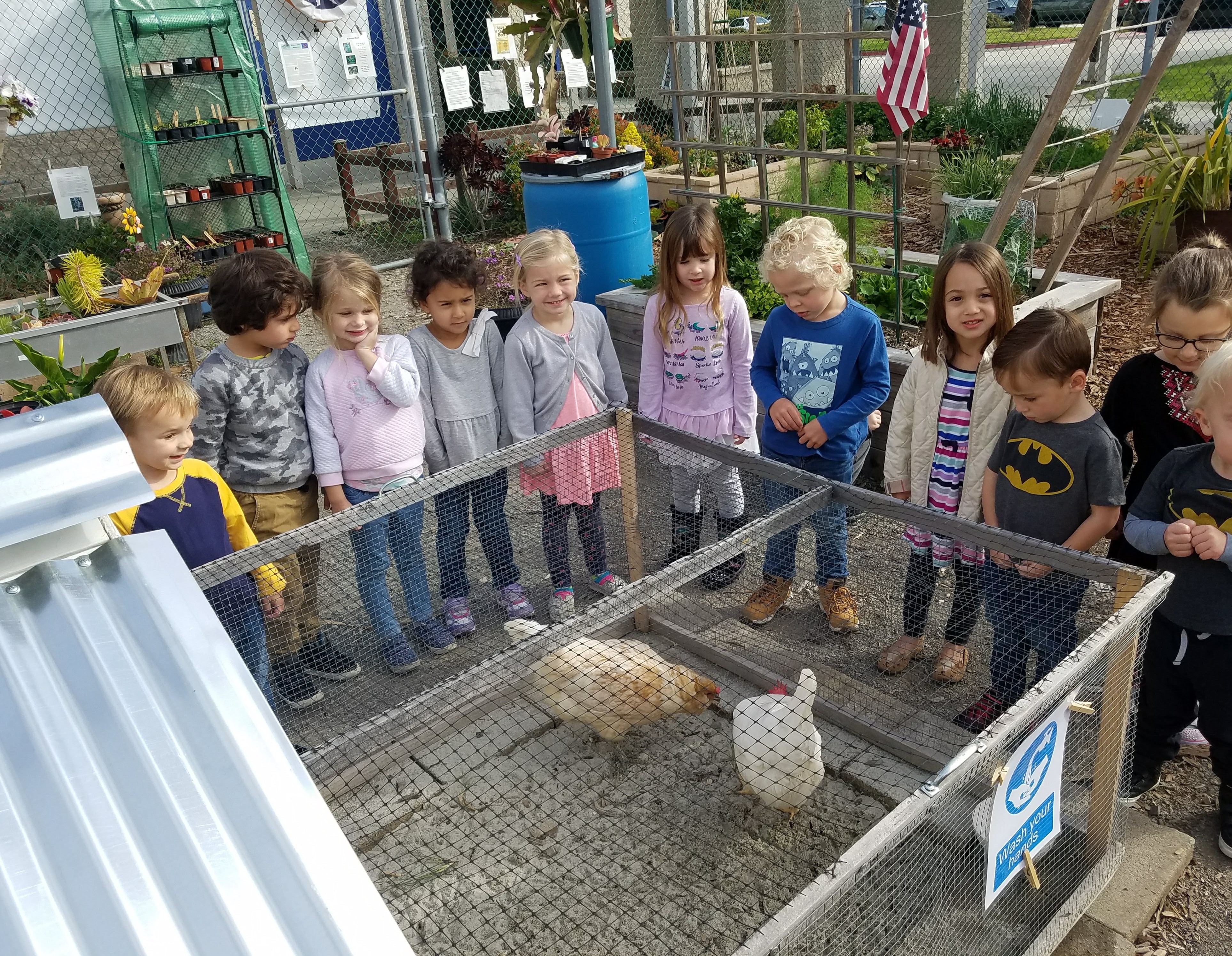 Pre-Schoolers visiting the Chickens