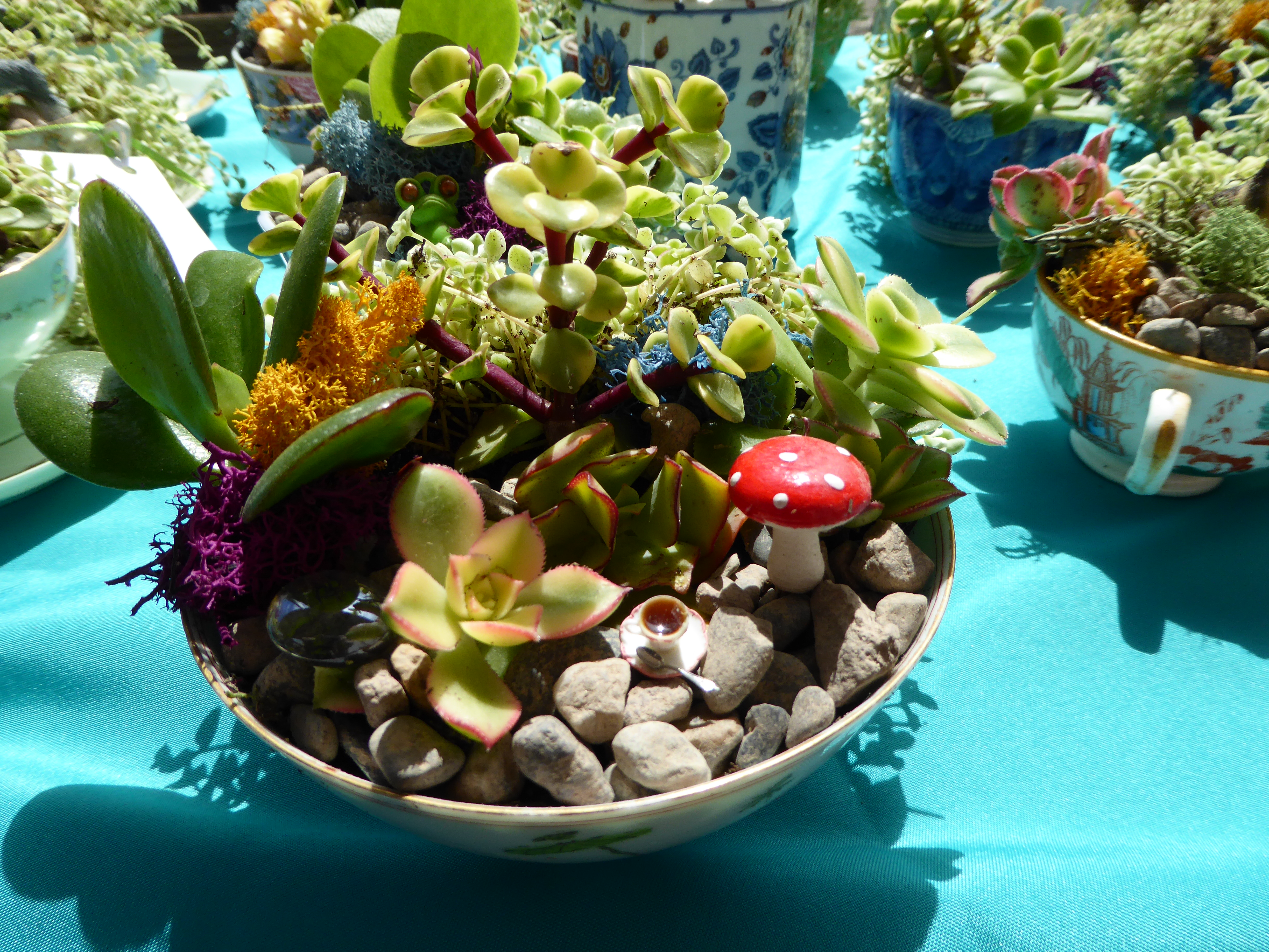 A Fairy tea party!