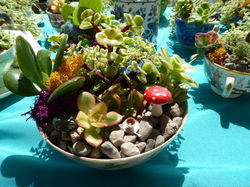 A Fairy tea party!
