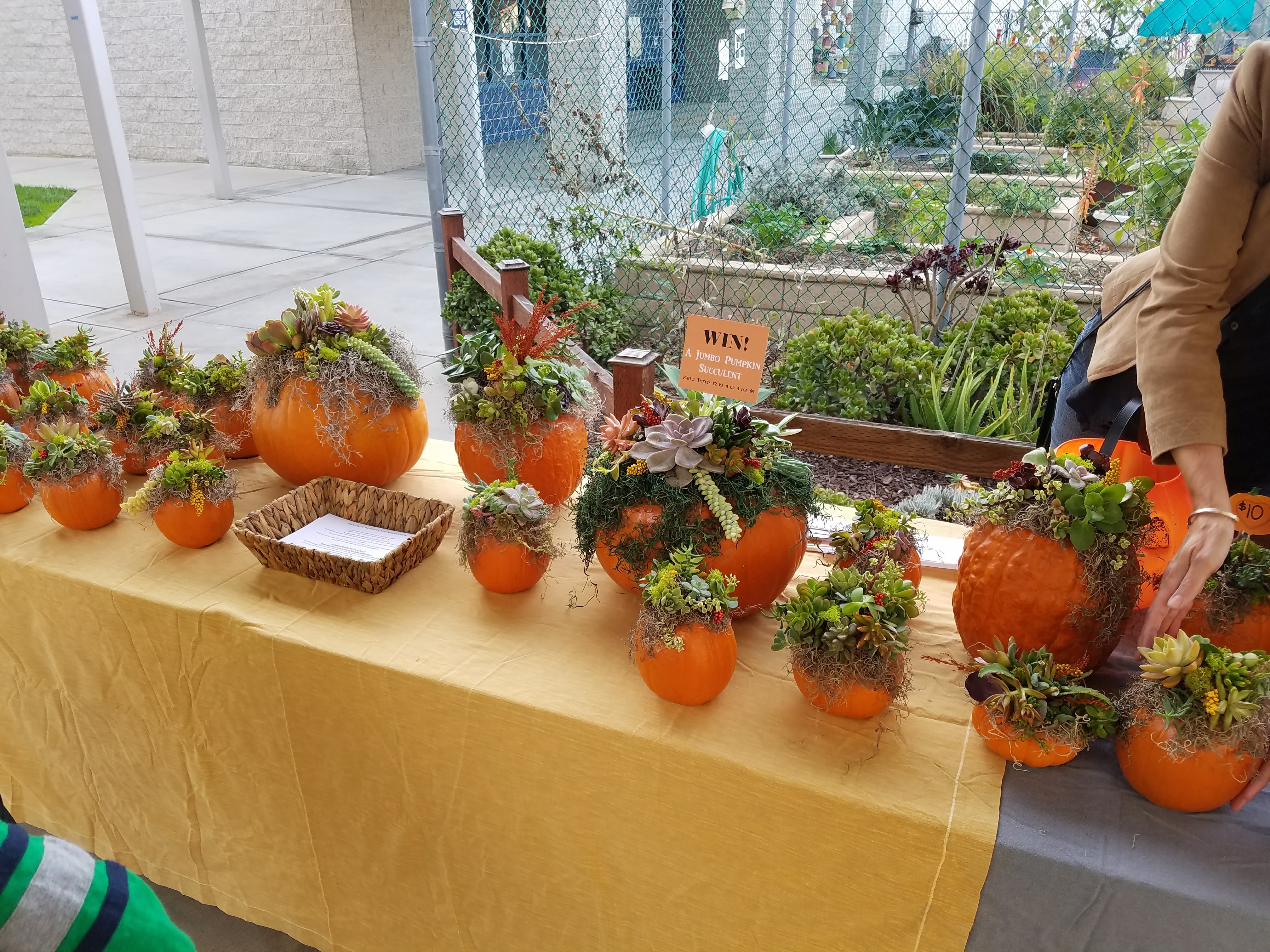 Fall Fundraiser