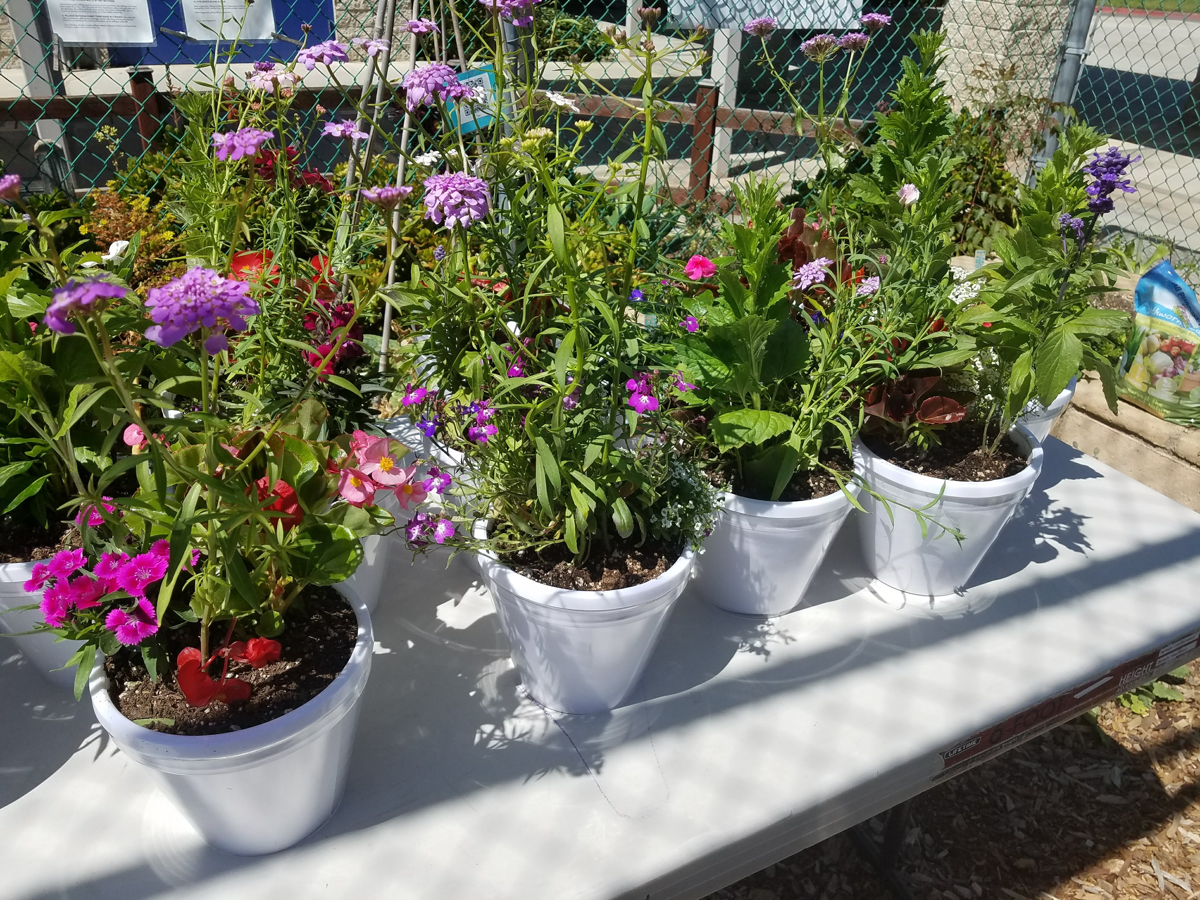 Mother's Day Flower Pot Fundraiser