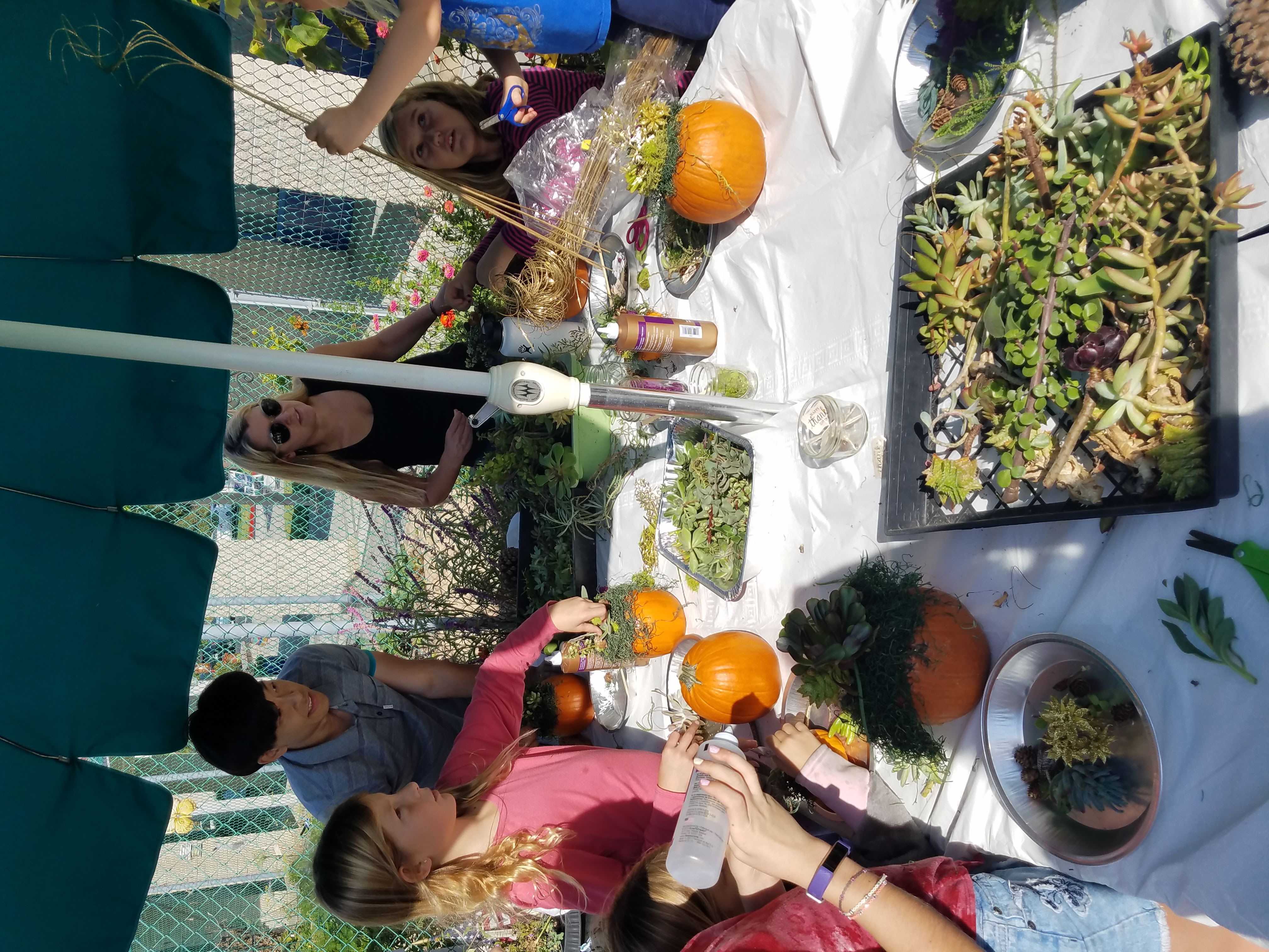 Fall Fundraiser - Pumpkin Succulents