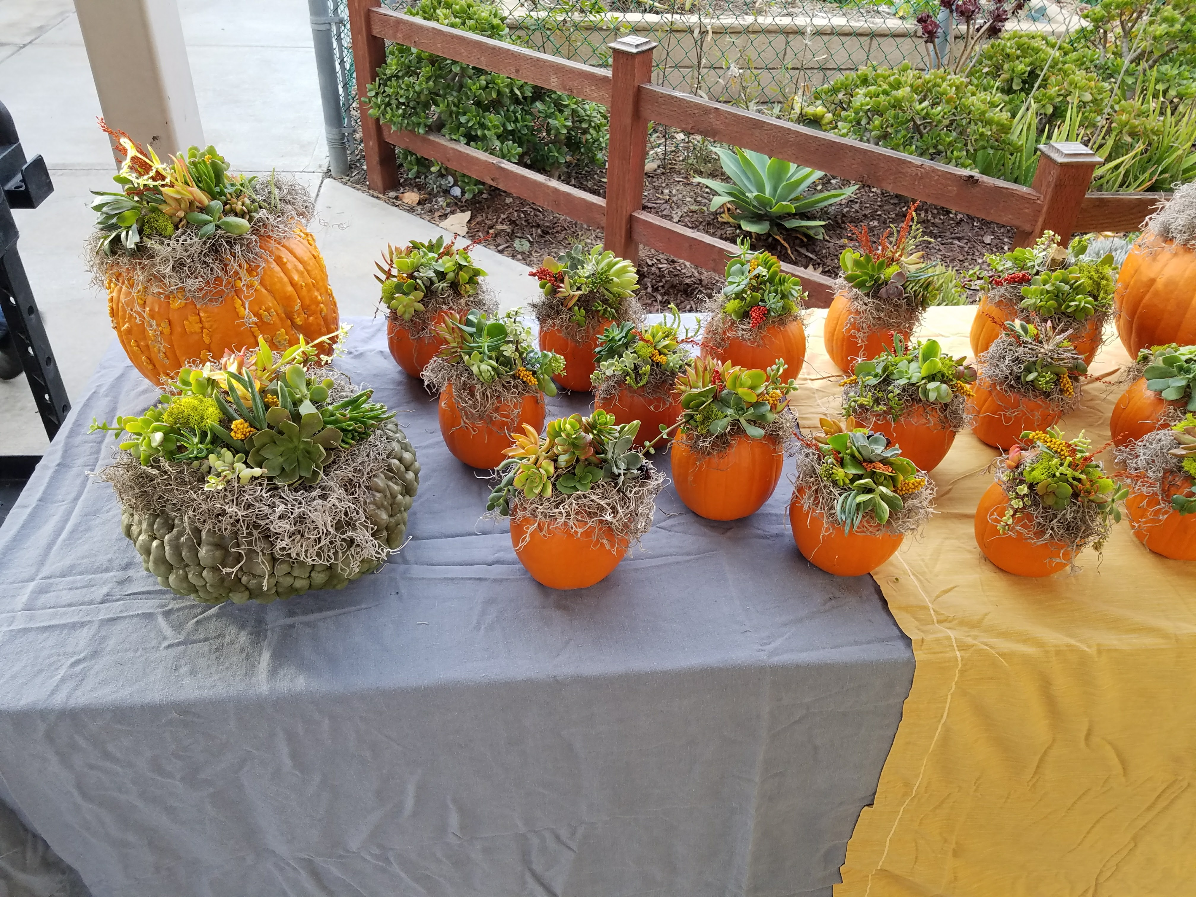 Fall Fundraiser