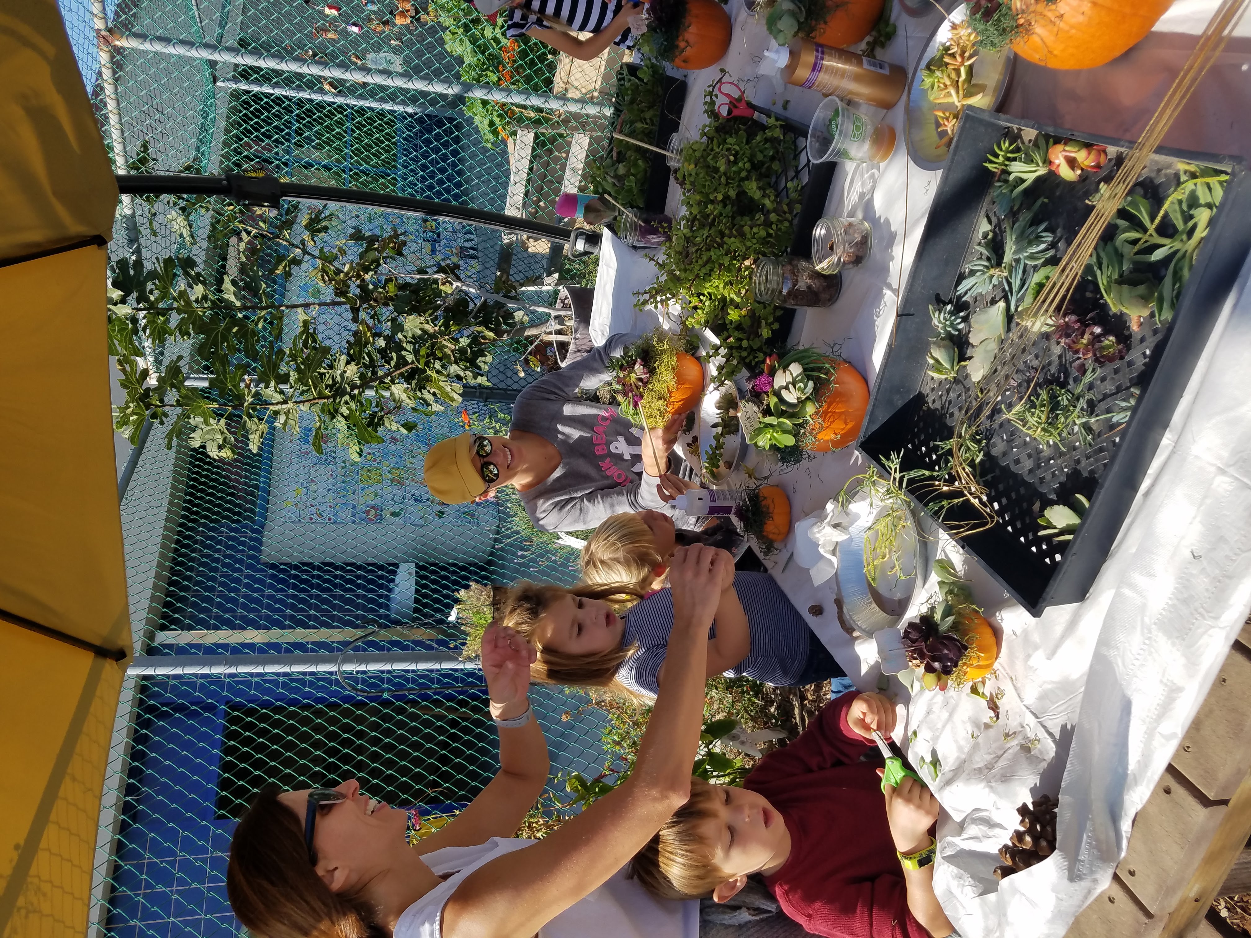 Pumpkin Succulent Class