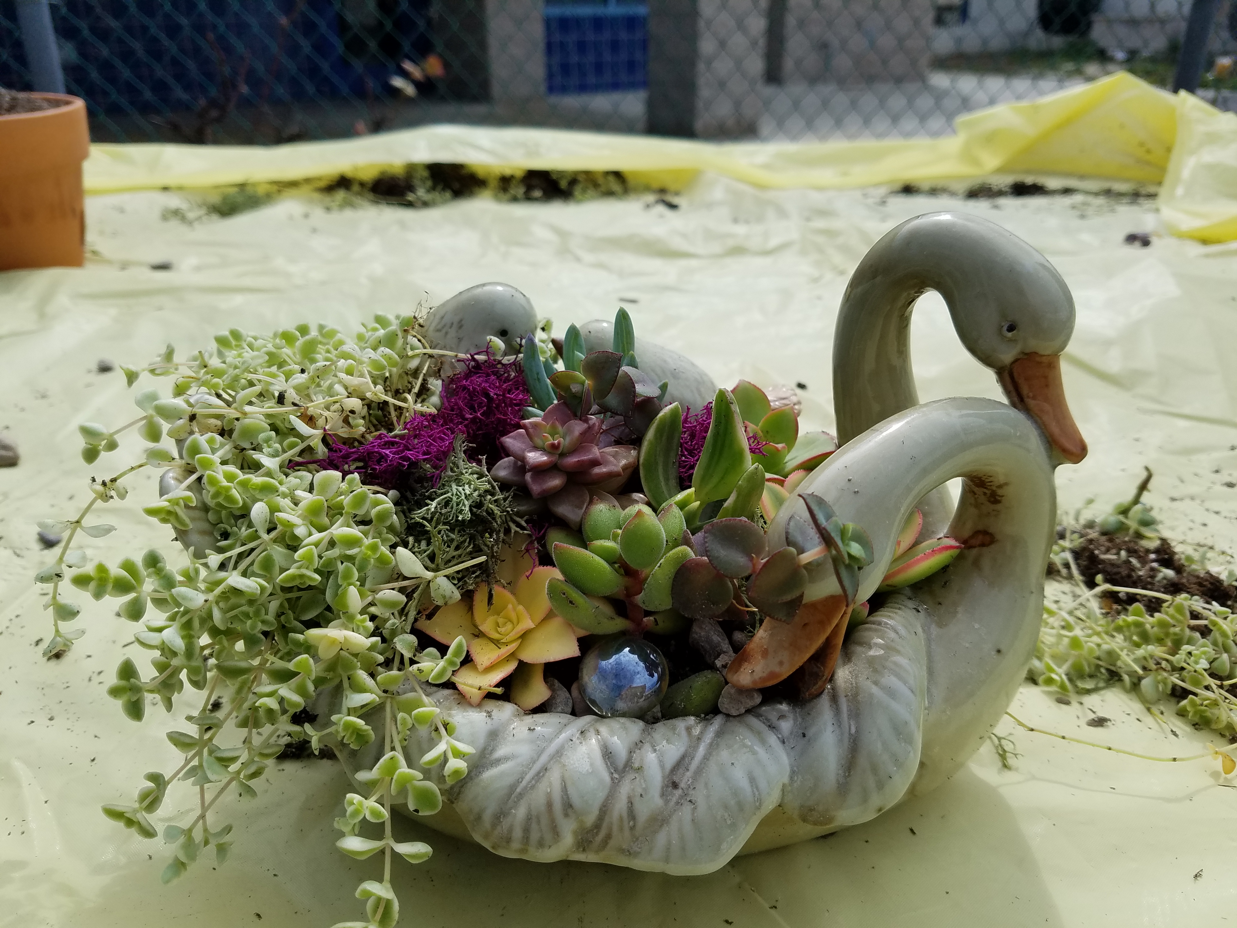 A lovely Springtime creation
