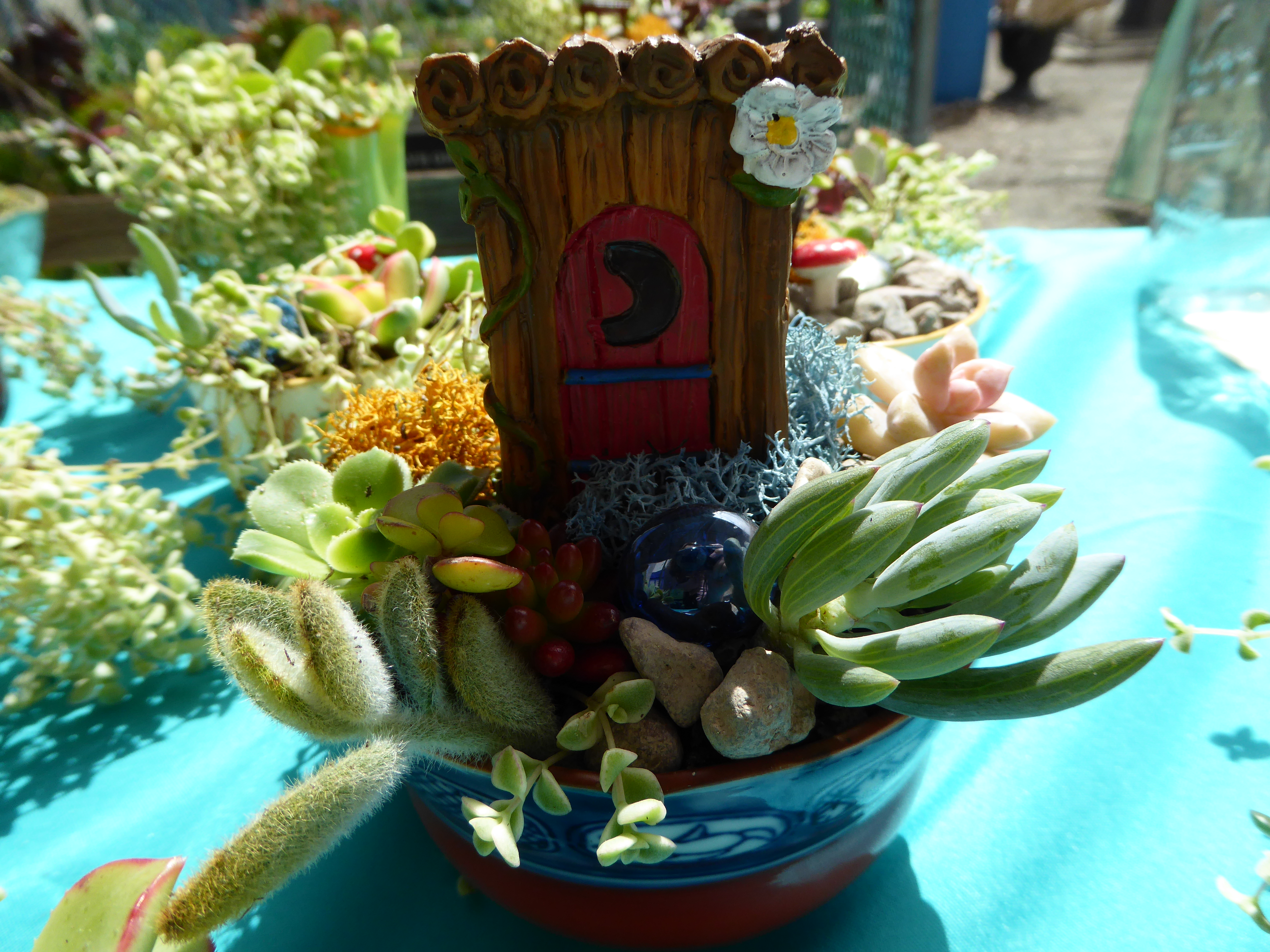 Fun garden creation
